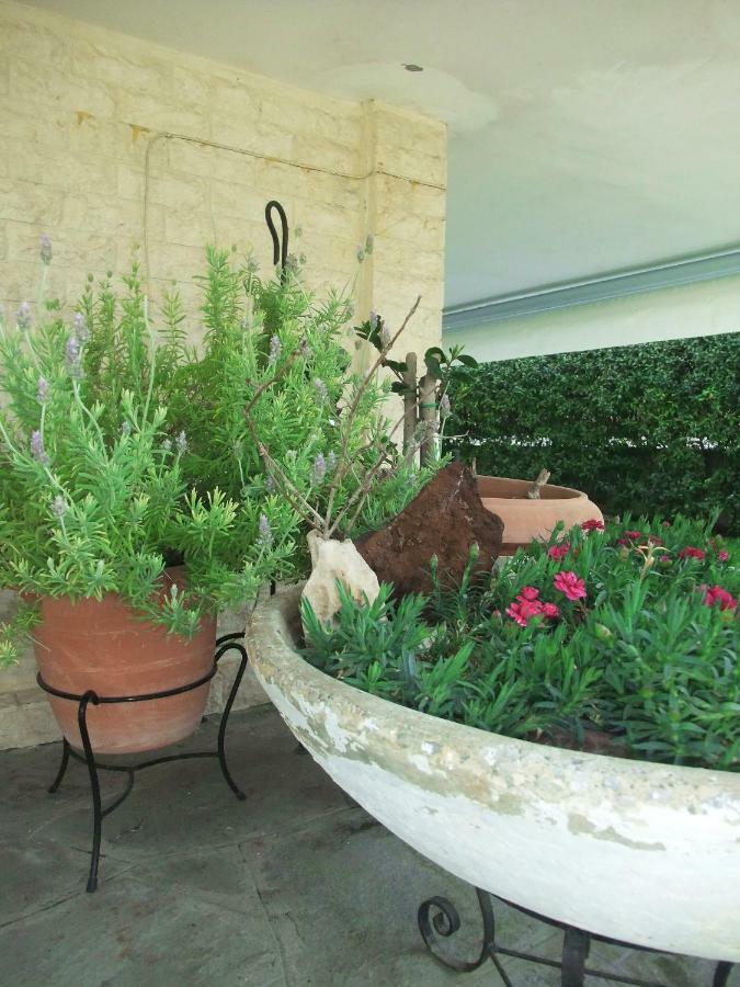 شقة A Majestic Elegant House With A Garden Peraía المظهر الخارجي الصورة